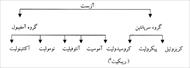 دانلود طرح توجیهی توليد آزبست
